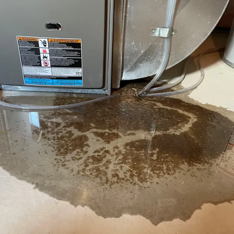 Appliance Leak Cleanup in Fairhope, AL